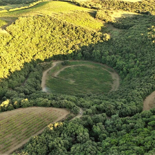 Cratère - Domaine du Meteore