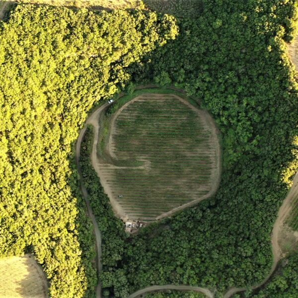 Cratère - Domaine du Meteore