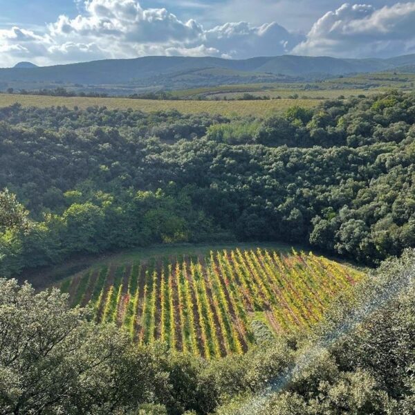 Cratère - Domaine du Meteore