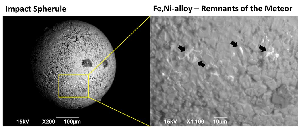 Fig. 4: Impact spherules compromising of Fe-oxide and rare Ni-rich iron-metal.