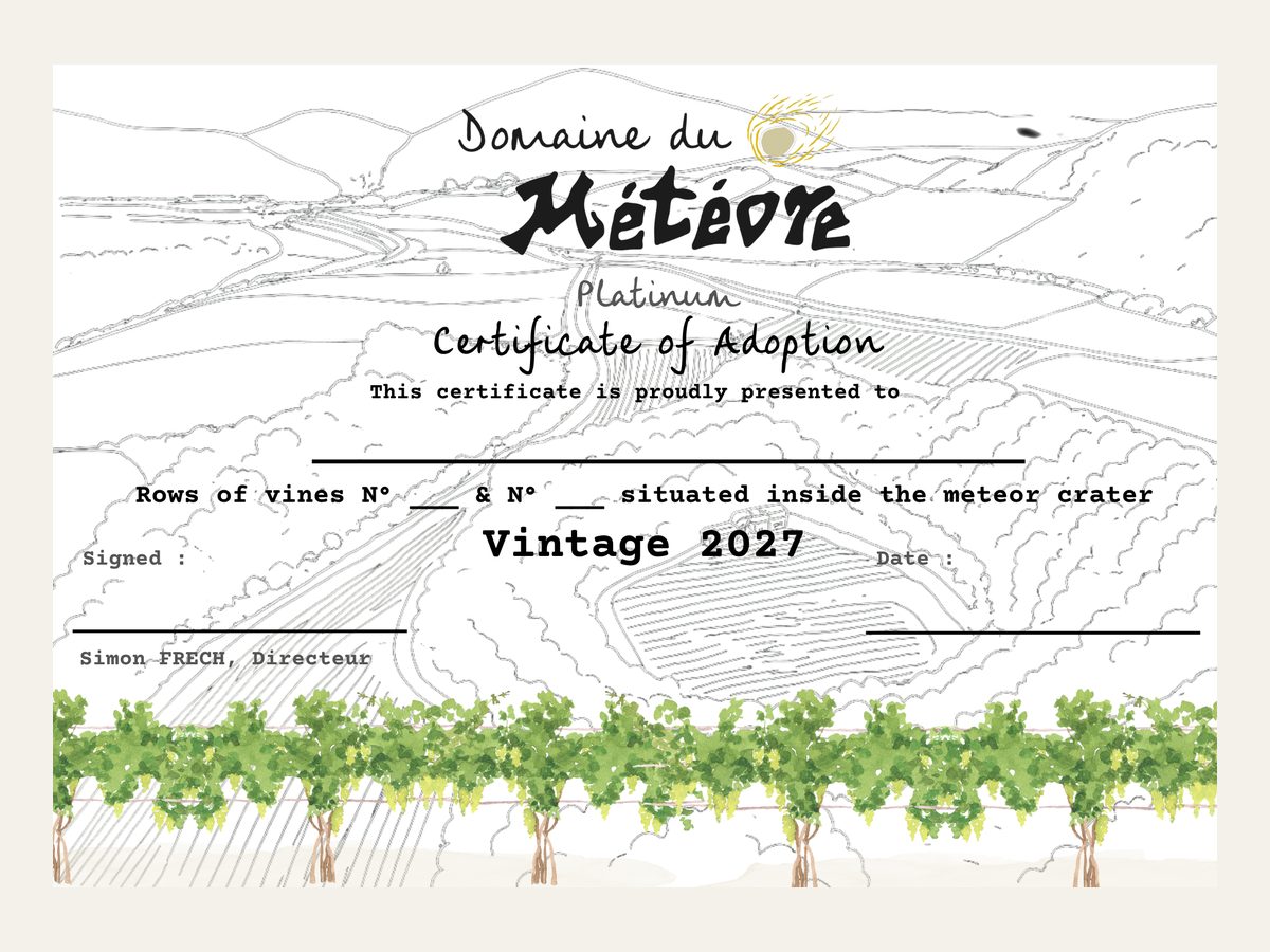Certificate of Adoption