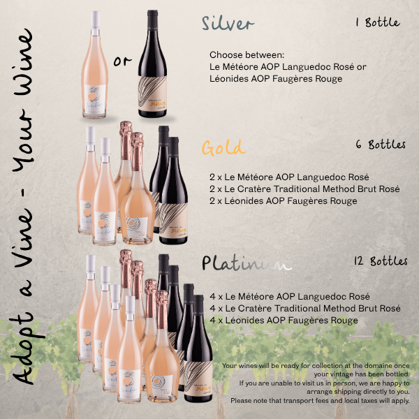 Wine allocation by tier: Silver 1 bottle, Gold 6 bottles, Platinum 12 bottles
